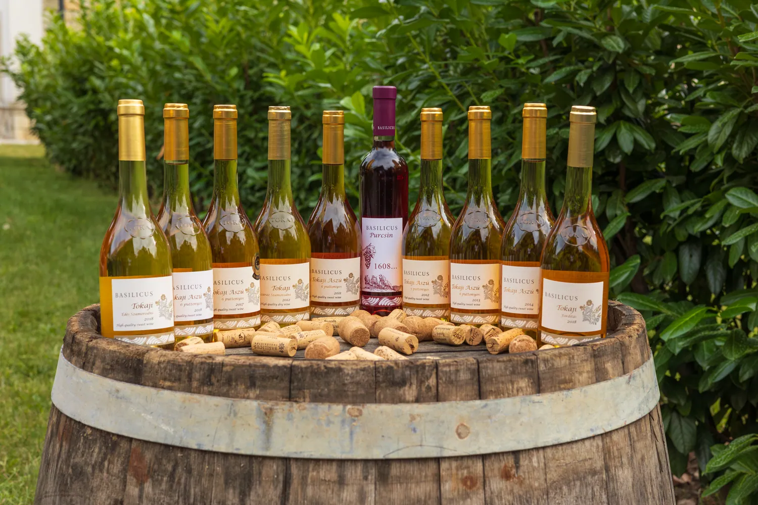 9H6B4926-Enhanced-NR